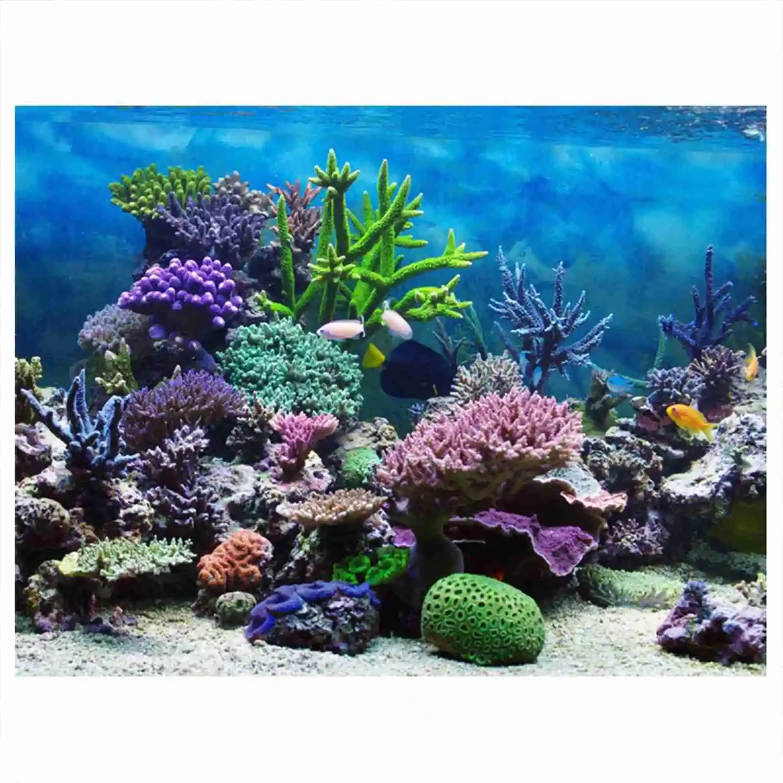 3D Aquarium Landscape Poster R - Aquarium Fish Wallpaper review and price