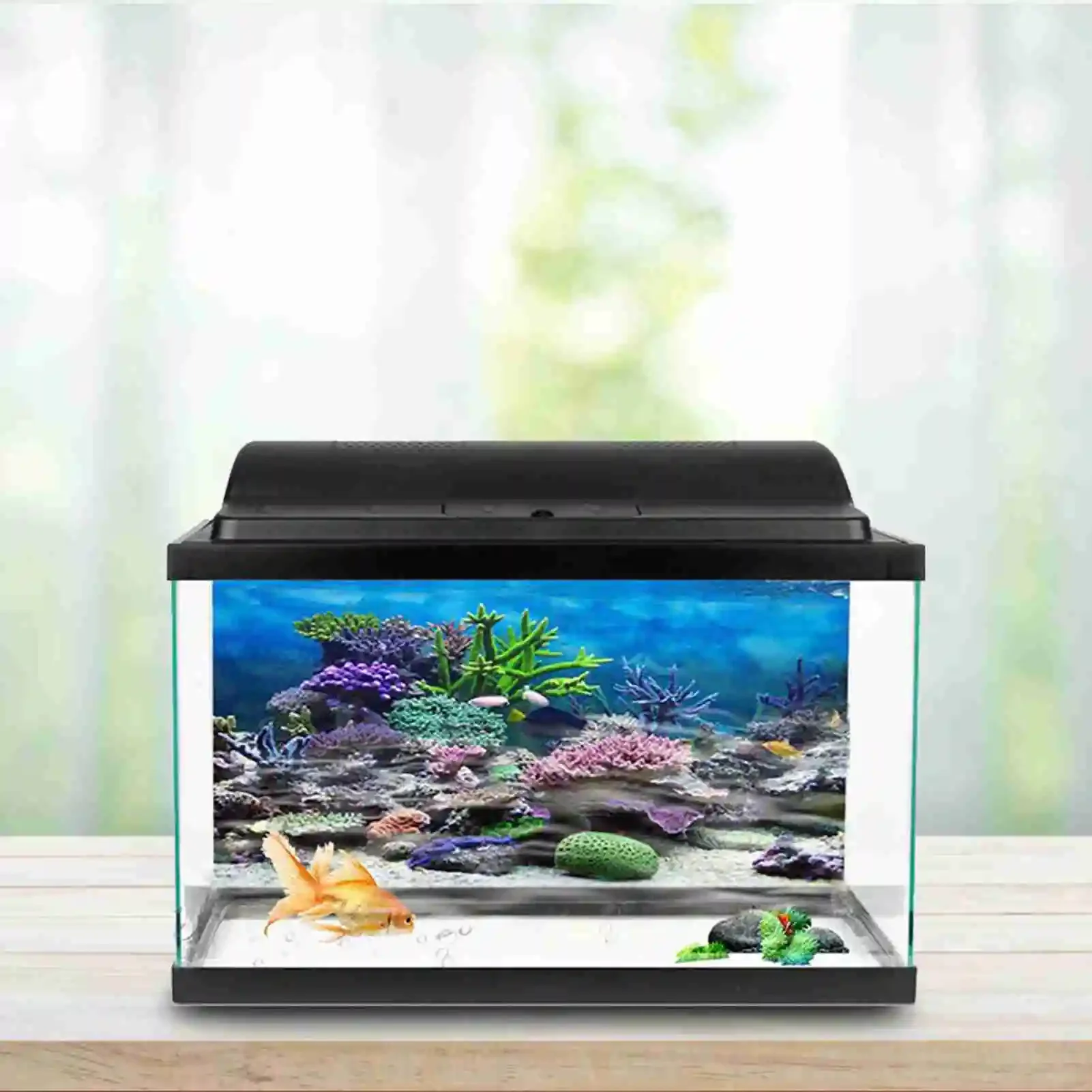 3D Aquarium Landscape Poster R - Aquarium Fish Wallpaper review and price