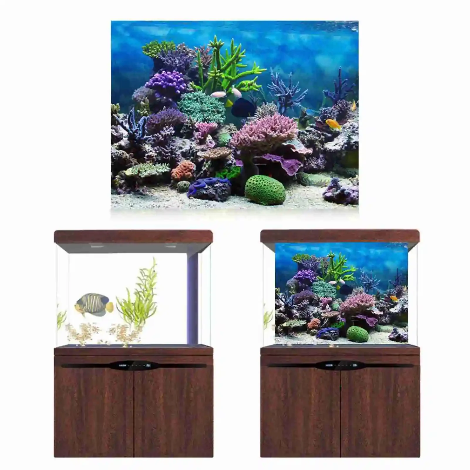 3D Aquarium Landscape Poster R - Aquarium Fish Wallpaper review and price