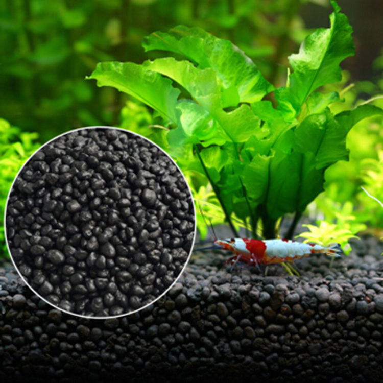 Aquarium Plant Seeds Soil Fish - Aquarium Fish To Buy review and price