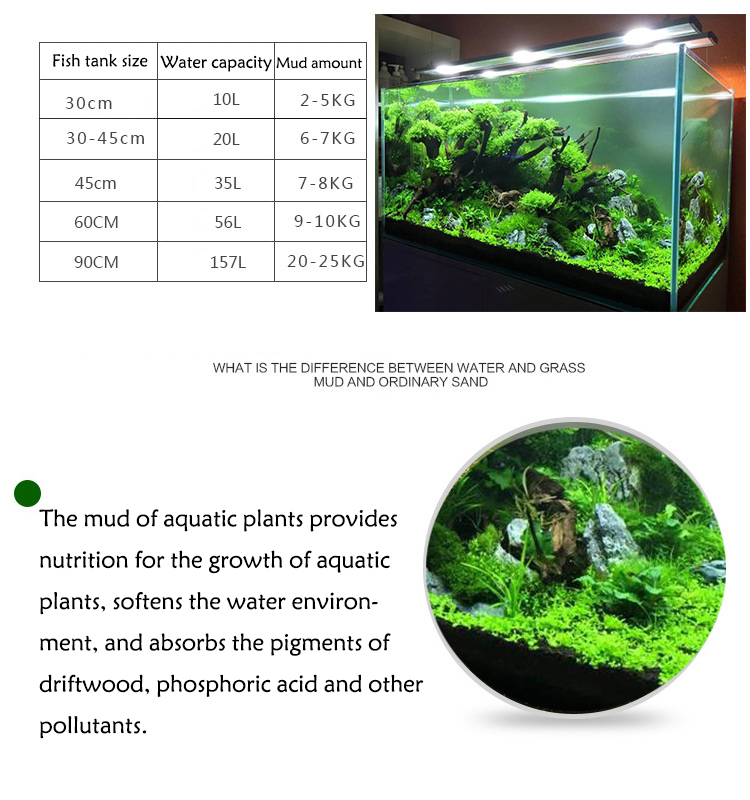 Aquarium Plant Seeds Soil Fish - Aquarium Fish To Buy review and price