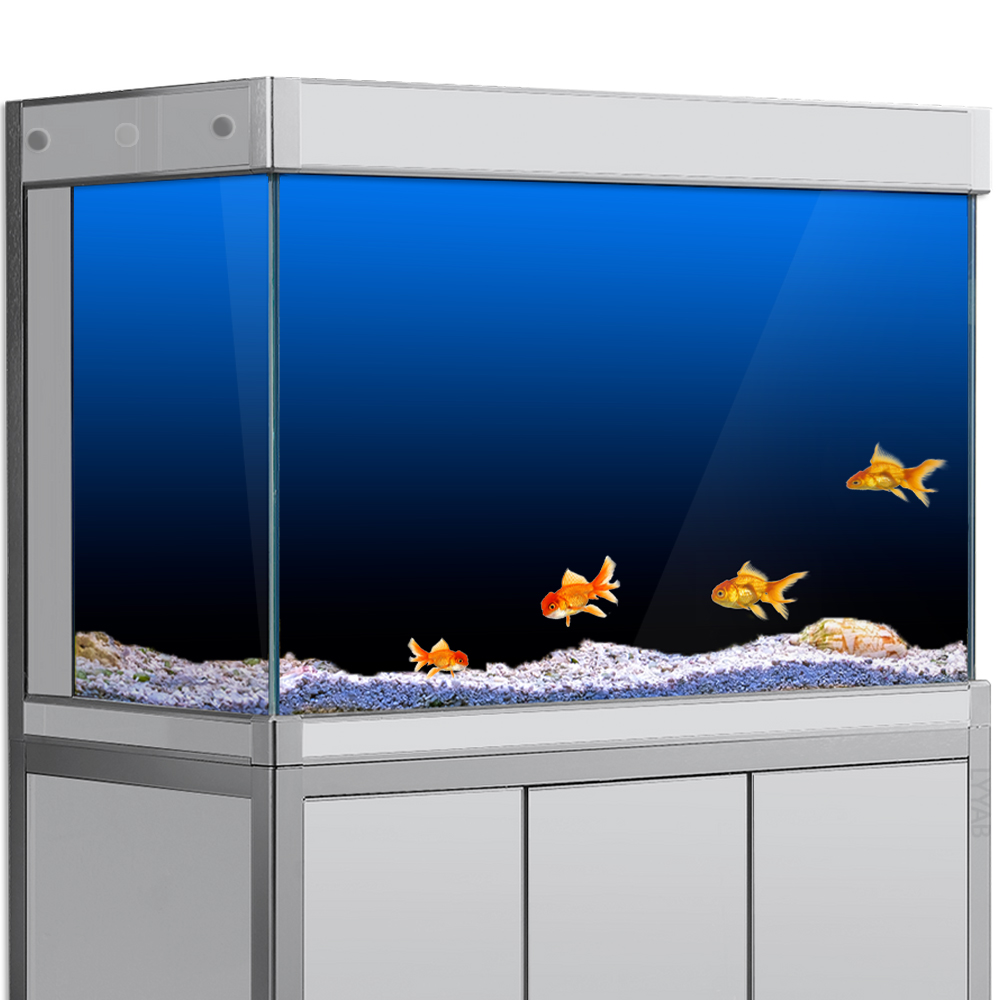 Fish Tank Background Sticker B - Aquarium Fish Wallpaper review and price