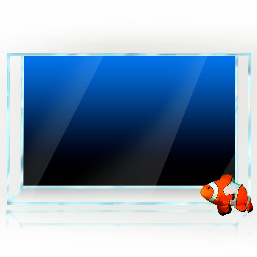 Fish Tank Background Sticker B - Aquarium Fish Wallpaper review and price