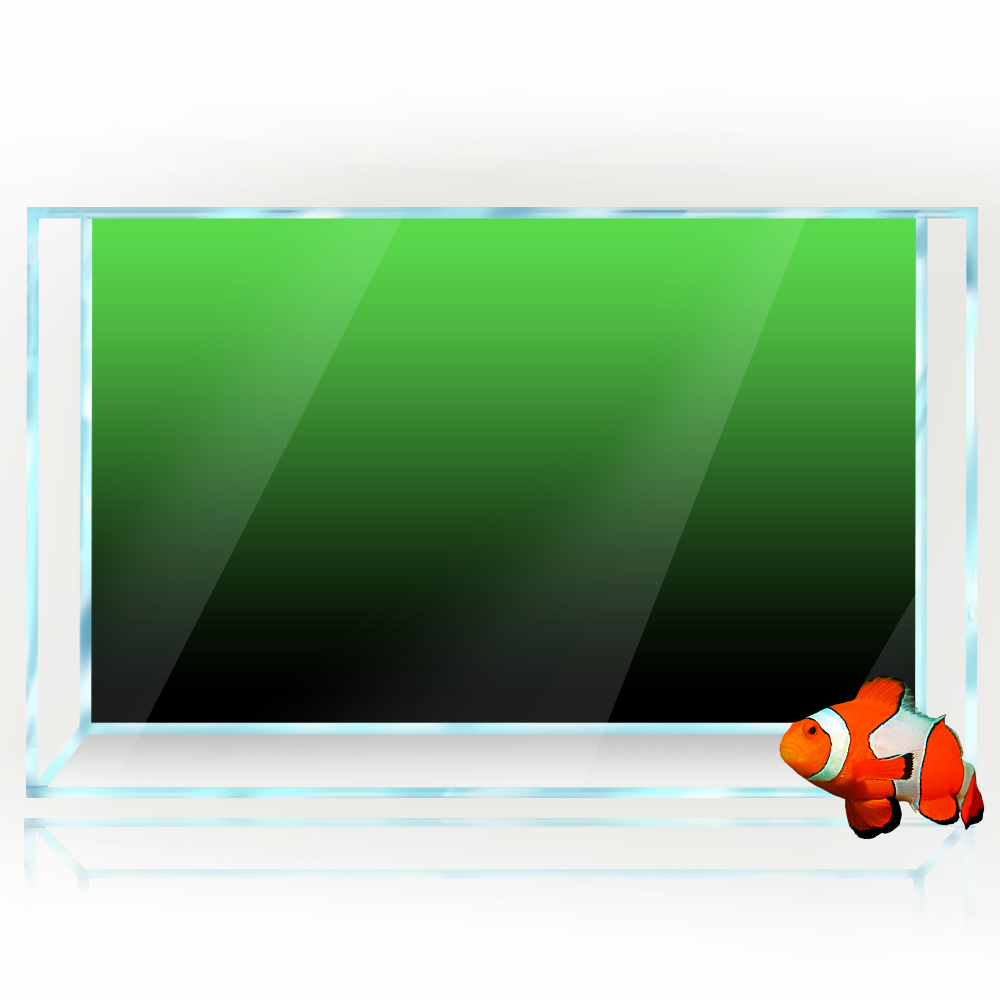 Fish Tank Background Sticker B - Aquarium Fish Wallpaper review and price