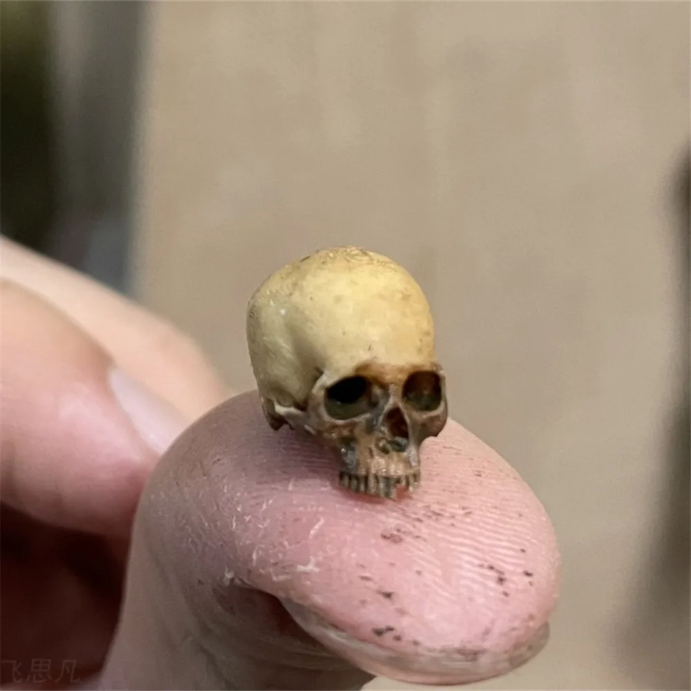 Mini Skull High Quality Miniat - Aquarium Fish To Buy review and price
