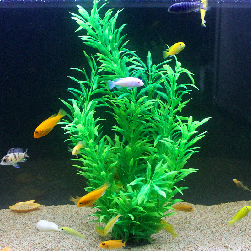 50CM Artificial Fish Tank Rare - Aquarium Fish To Buy review and price