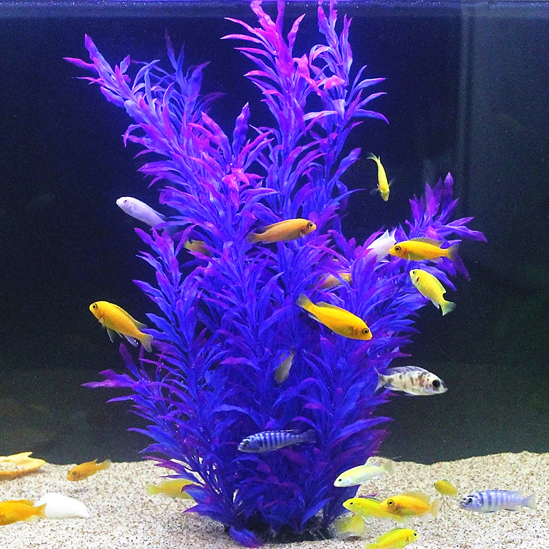 50CM Artificial Fish Tank Rare - Aquarium Fish To Buy review and price