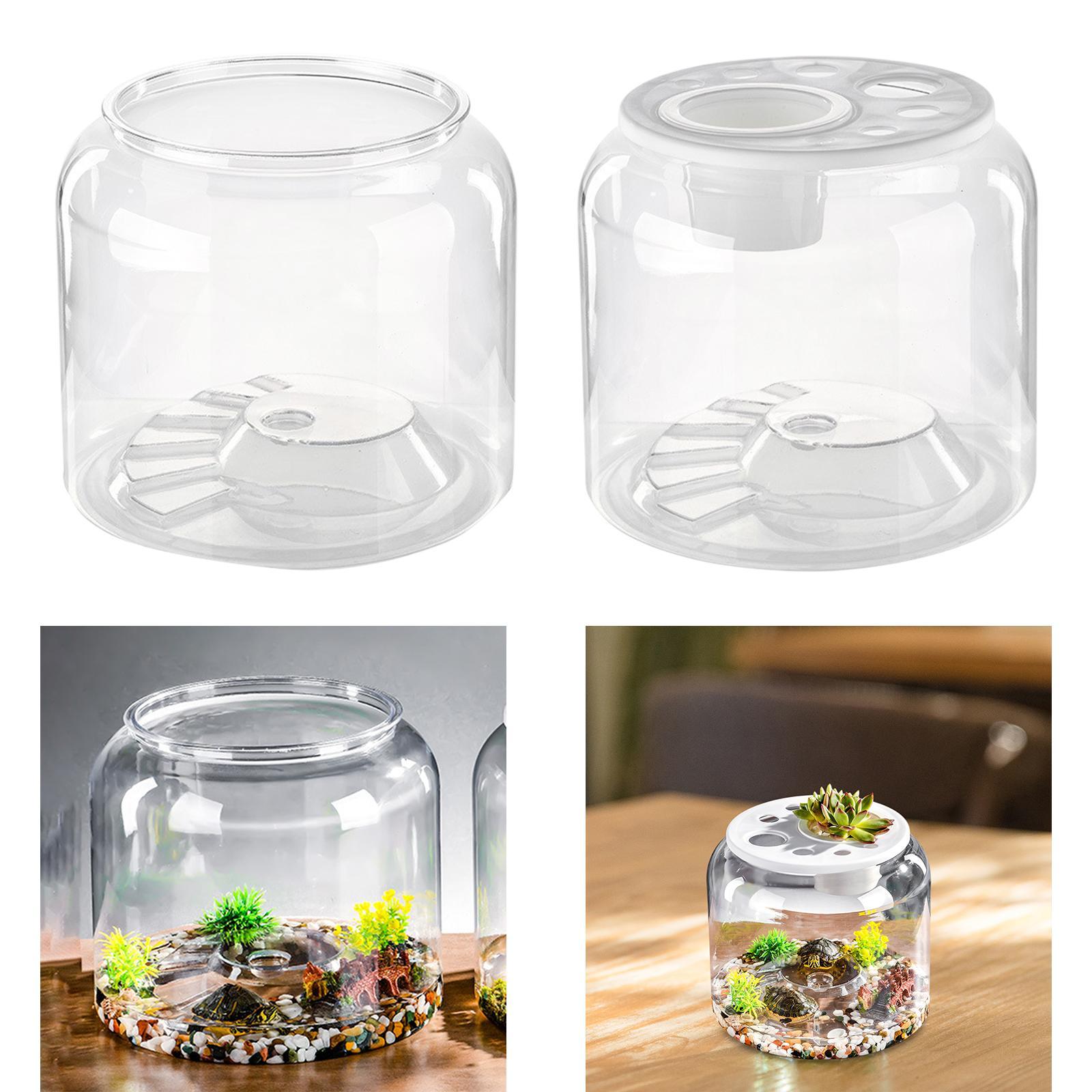 Turtle Tank Tabletop Reptile H - Aquarium Fish Drawing review and price