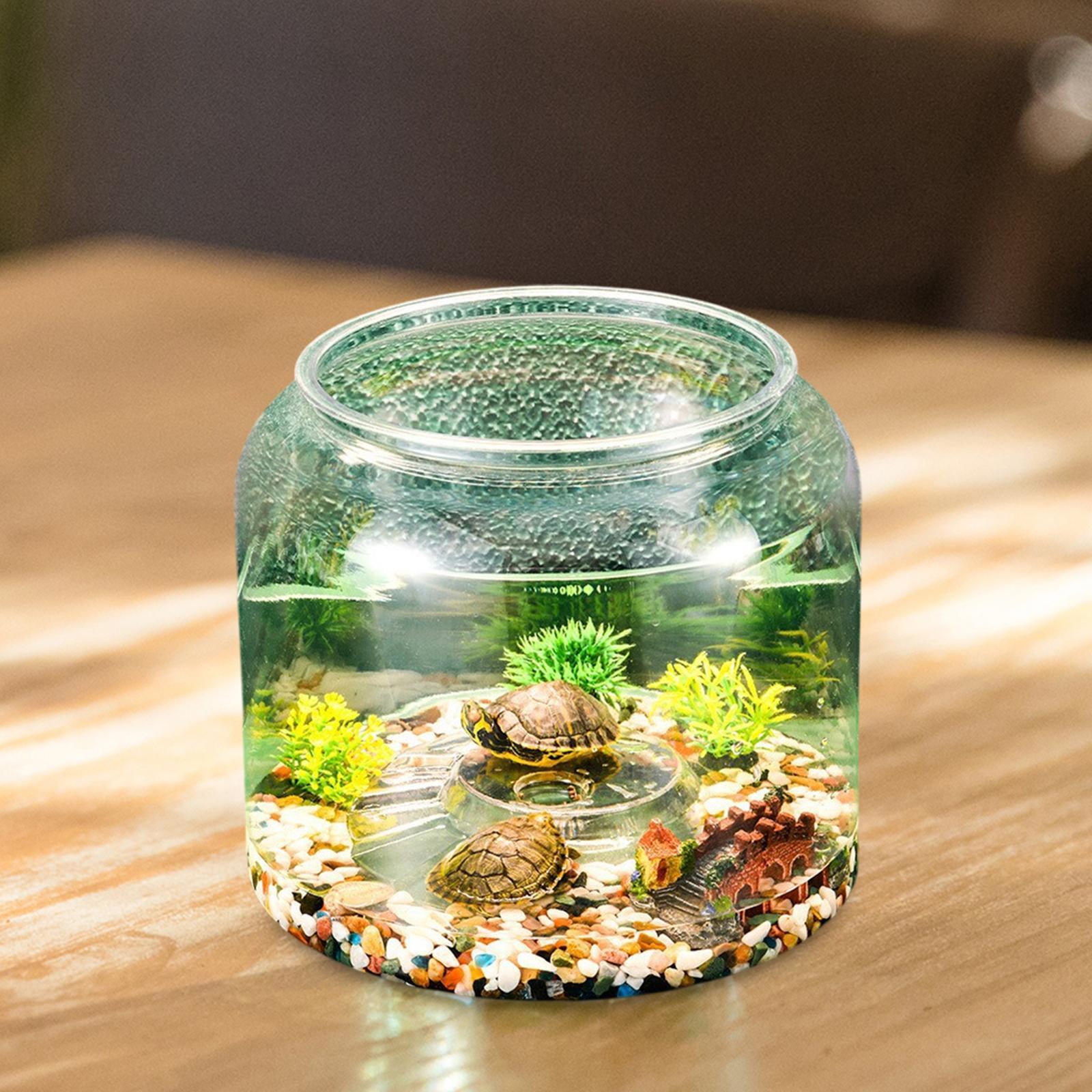 Turtle Tank Tabletop Reptile H - Aquarium Fish Drawing review and price