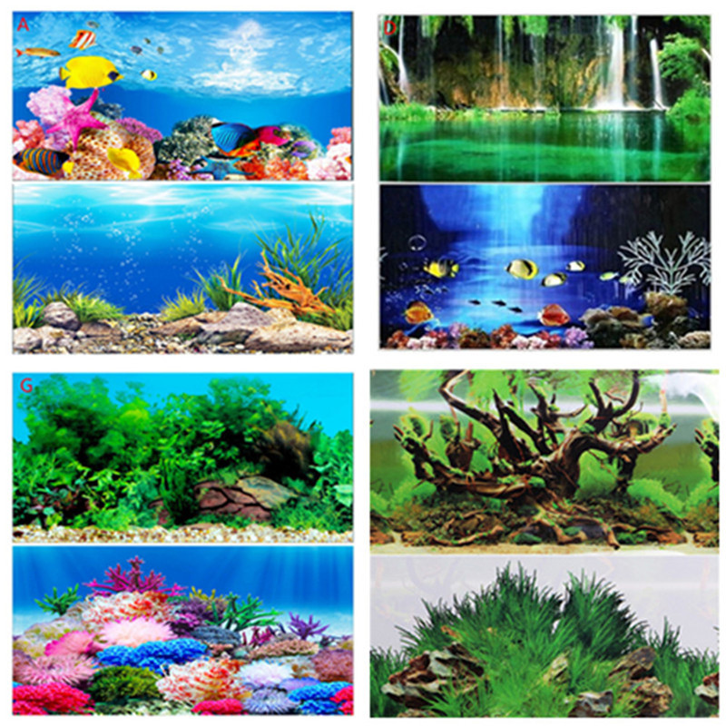 30CM 40CM High Glossy Double S - Fish In Aquarium Picture review and price
