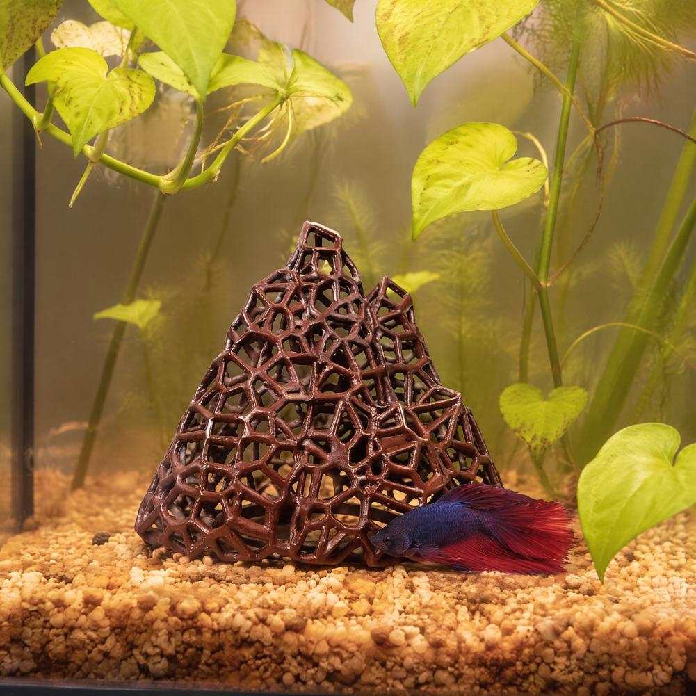 Aquatic Landscape Ornament Aqu - Fish In Aquarium Picture review and price