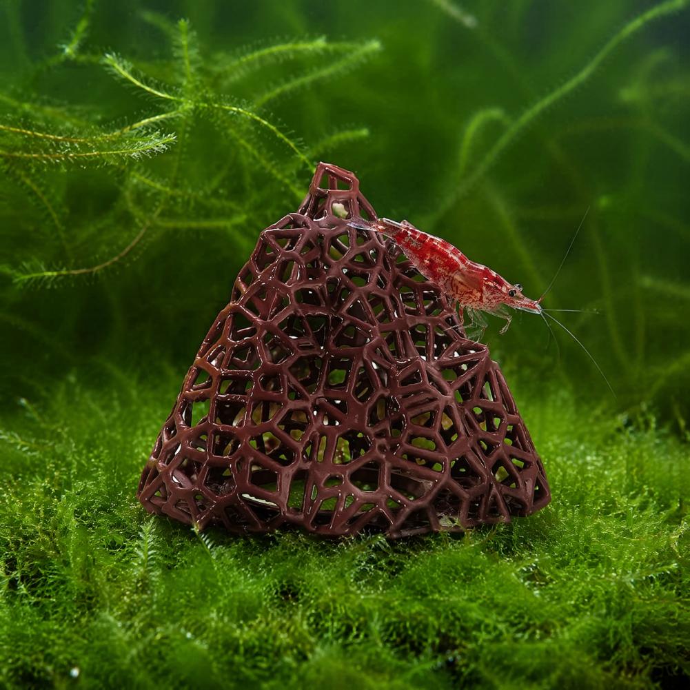 Aquatic Landscape Ornament Aqu - Fish In Aquarium Picture review and price