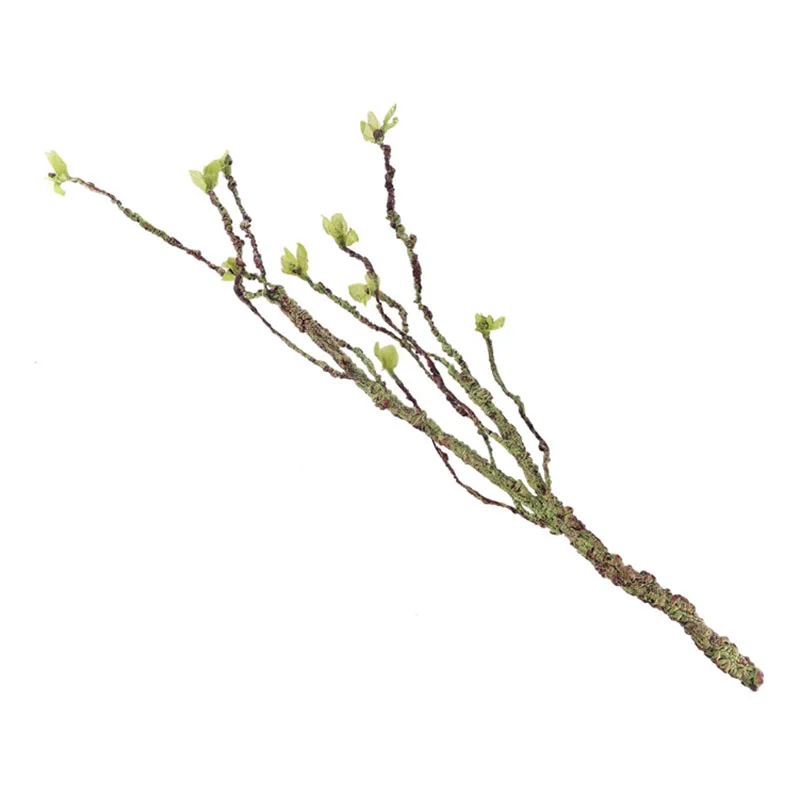 Vines Decor Climbing Branches  - Aquarium Fish To Buy review and price