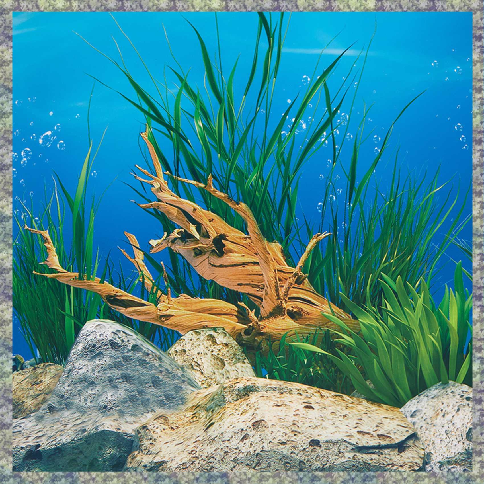 WON Aquarium Background Paper  - Fish In Aquarium Picture review and price