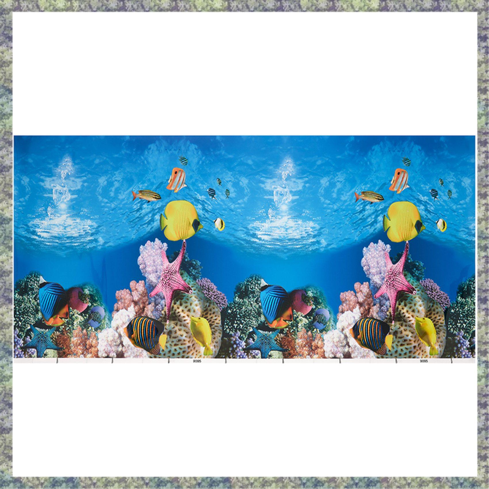 WON Aquarium Background Paper  - Fish In Aquarium Picture review and price