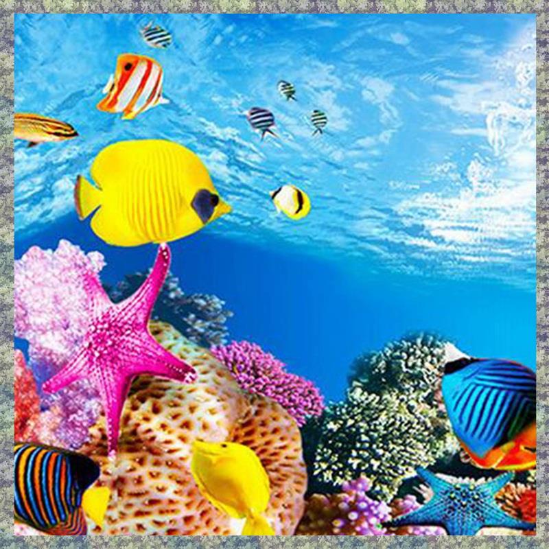 WON Aquarium Background Paper  - Fish In Aquarium Picture review and price