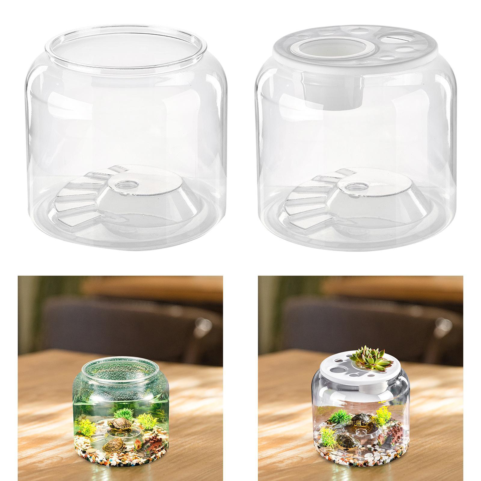 Turtle Container High Capacity - Aquarium Fish Drawing review and price
