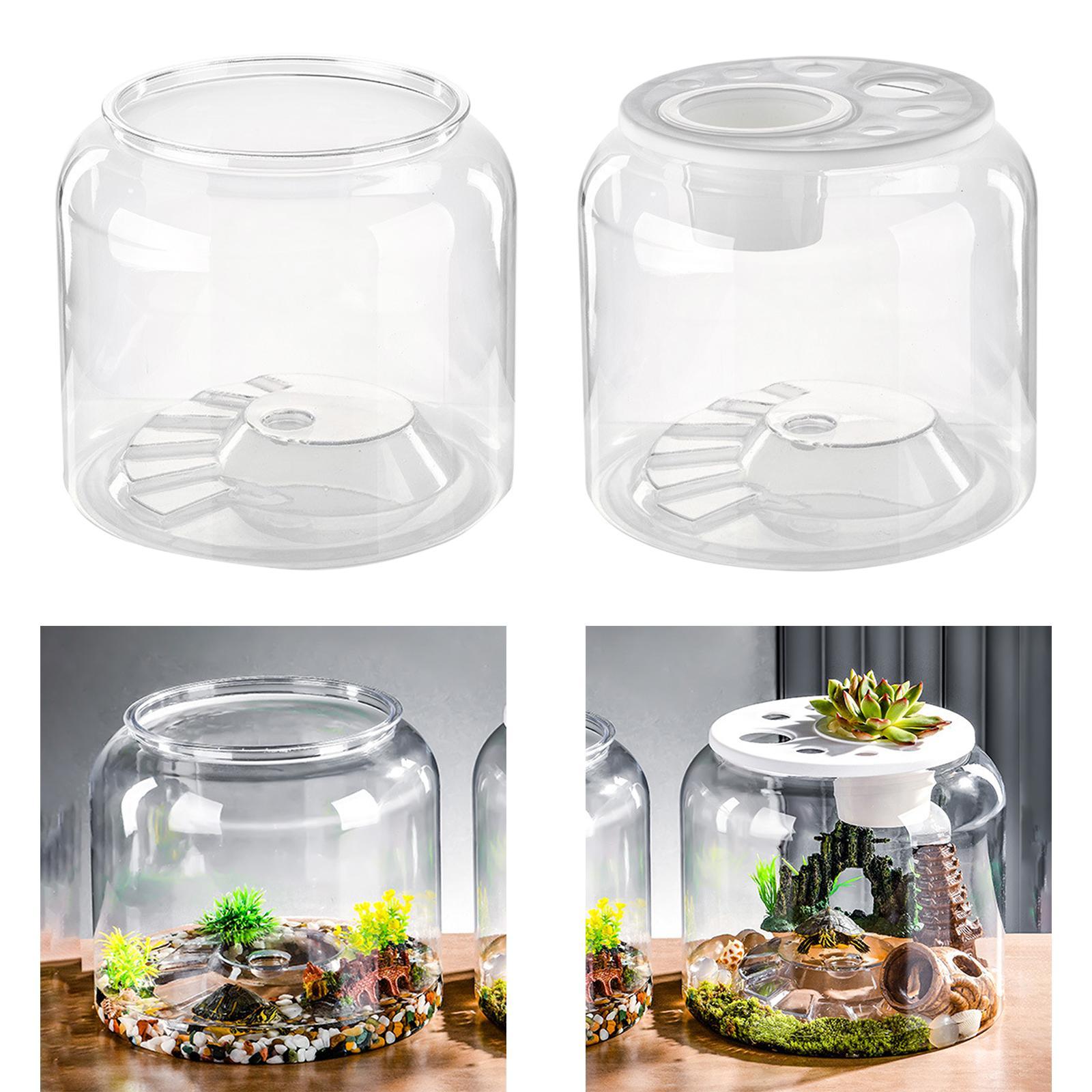 Turtle Container High Capacity - Aquarium Fish Drawing review and price